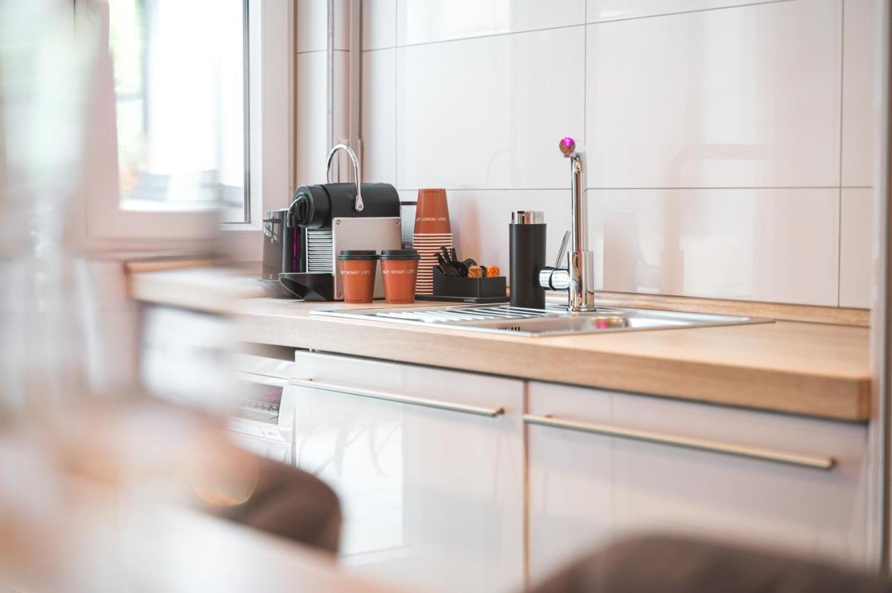 Das Crazy Monkey Loft Mit 100Qm & Summerlounge Apartment Stuttgart Ngoại thất bức ảnh
